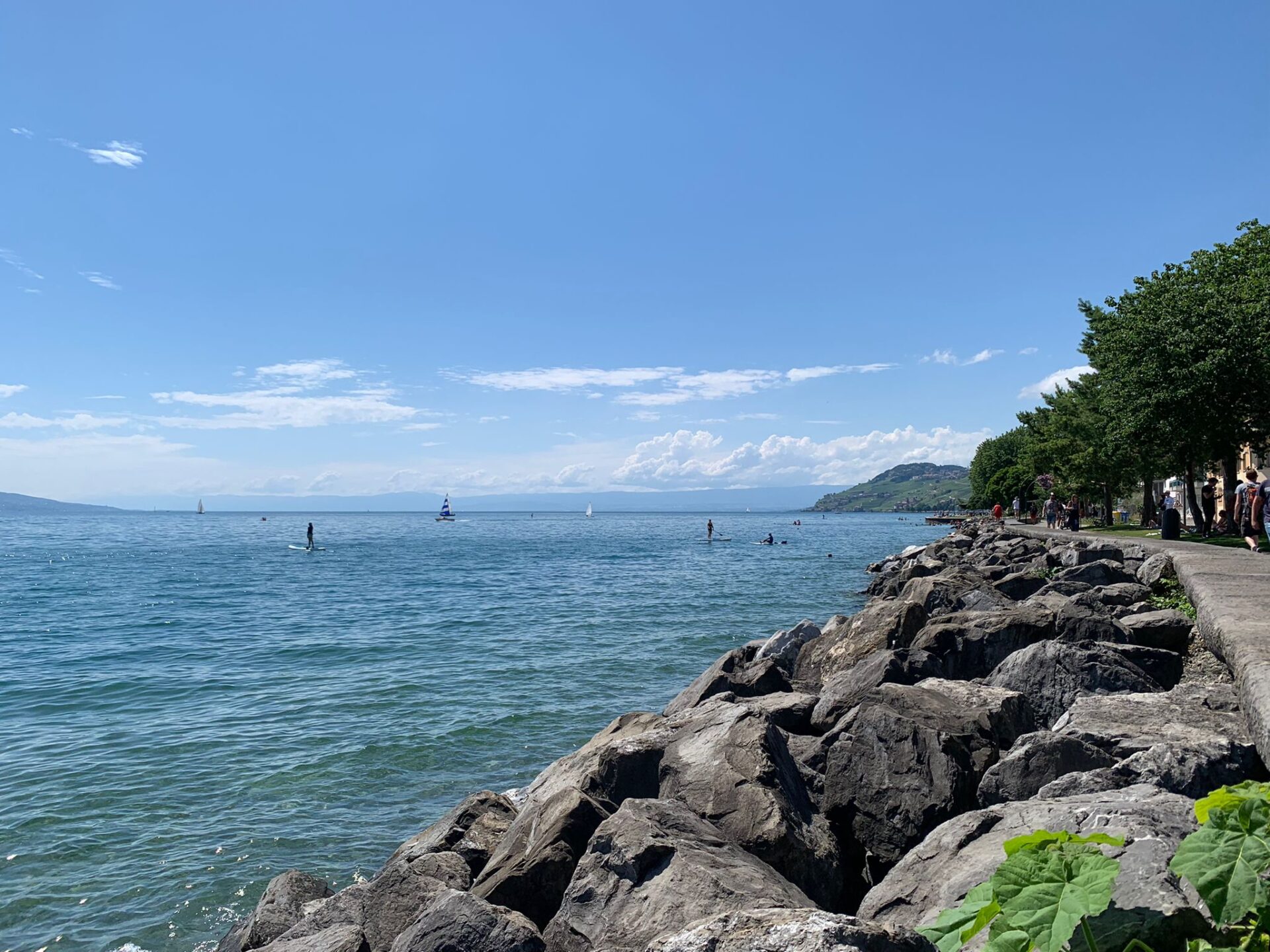 Vevey_Lakeside_Swimming